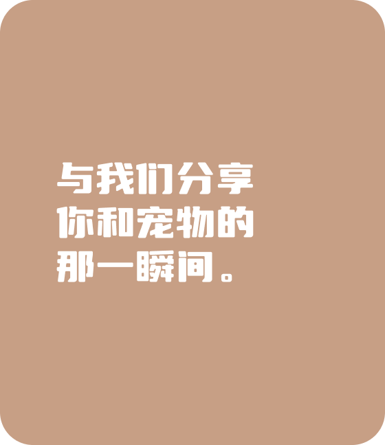 米兰·milantiyu宠物，无处不在